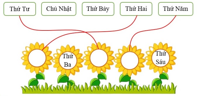 Nối hình ảnh (ảnh 2)