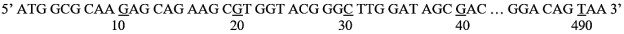 Vùng mã hóa của allele Y ở vi khuẩn E.coli có trình tự nucleotide ở mạch bổ sung như sau: (ảnh 1)
