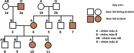 Bệnh alkan niệu là một bệnh di truyền hiếm gặp. Gene gây bệnh (alk) là gene lặn nằm trên nhiễm sắc thể số 9. Gene alk liên kết với gene I mã hoá cho hệ nhóm máu ABO. Khoảng cách giữa gene alk và gene I là 11cM.  (ảnh 1)