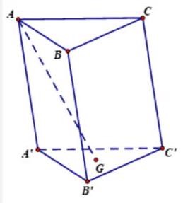 Đáp án cần chọn là: Đ; S; Đ; Đ (ảnh 1)