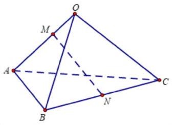 Đáp án cần chọn là: C (ảnh 1)