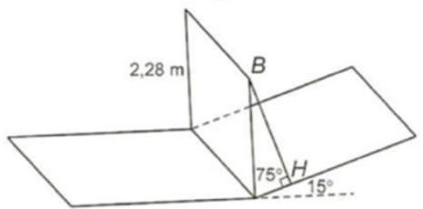 Nhân dịp lễ Noel sắp đến, Đại (ảnh 2)