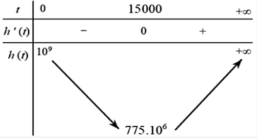 Đ&aacute;p &aacute;n cần chọn l&agrave;: C (ảnh 1)