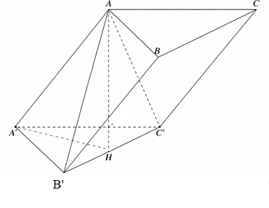 Trong hệ trục tọa độ Oxy, cho \(A\left(  (ảnh 1)
