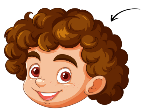 _ur_ _   curly Trong hình là một cậu bé với mái tóc xoăn → Từ đầy đủ cần điền là “curly”. (ảnh 1)