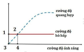 Đồ thị Hình 5 mô tả ảnh hưởng của cường độ ánh sáng đến cường độ hô hấp và cường độ quang hợp của một loài thực vật. Điểm nào trên đồ thị biểu thị điểm bù ánh sáng của loài này? (ảnh 1)