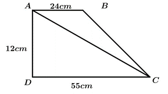 Cho hình thang vuông ABCD có AB = 24 cm; AD = 12cm; DC = 55 cm. Nối A với C ta được hai tam giác ABC và ADC. a) Tính diện tích mỗi tam giác  b) Diện tích hình thang ABCD gấp bao nhiều lần diện tích tam giác ABC? (ảnh 1)