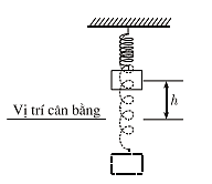 B&aacute;c T&acirc;m mới mua một chiếc  (ảnh 1)