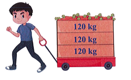 Để giúp đỡ các cô bác nông dân tiêu thụ nông sản, anh Huy có nhập về cửa hàng một số lượng cà rốt (như bức tranh). Số lượng cà rốt anh Huy nhập về là:   	A. 240 kg	B. 360 kg	C. 120 kg		D. 280 kg (ảnh 1)