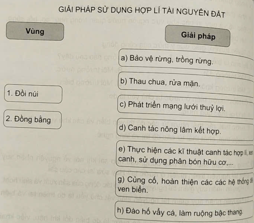 Ghép thông tin ở cột bên trái với thông tin ở cột bên phải sao cho phù hợp giải pháp sử dụng hợp lí tài nguyên đất ở vùng đồi núi và vùng đồng bằng nước ta. (ảnh 1)