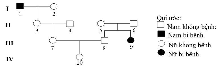 Cho sơ đồ phả hệ mô tả sự di truyền một bệnh ở người do một trong hai allele của một gene qui định, allele trội là trội hoàn toàn. (ảnh 1)