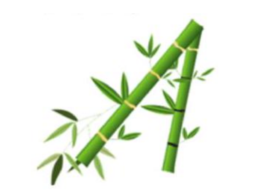 Đ&aacute;p &aacute;n cần chọn l&agrave;: B (ảnh 1)