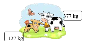 Bò mẹ nặng hơn bê con số ki- lô – gam là: 	A. 183 kg	B. 150 kg	C. 207 kg	D. 250 kg (ảnh 1)