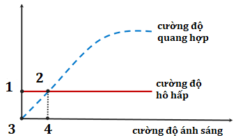Đồ thị ở hình bên mô tả ảnh hưởng của cường độ ánh sáng đến cường độ hô hấp và cường độ quang hợp của một loài thực vật. Điểm nào trên đồ thị biểu thị điểm bù ánh sáng của loài này  (ảnh 1)