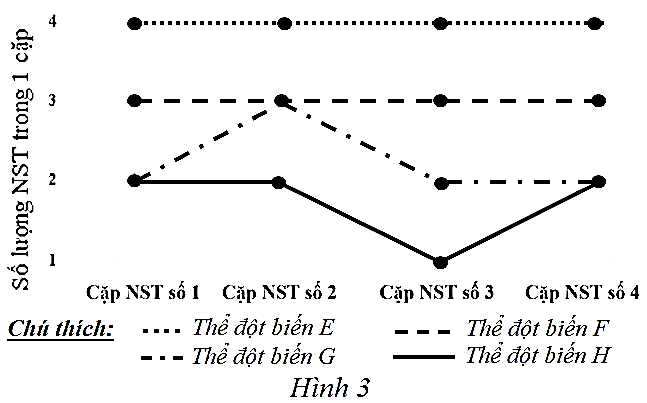 Di truyền phân tử  Một loài thực vật có bộ nhiễm sắc thể lưỡng bội 2n = 8. Khi phân tích bộ nhiễm sắc thể của 4 thể đột biến (E, F, G, H) người ta thu được kết quả như biểu đồ ở hình dưới đây. Biết rằng, đột biến chỉ liên quan đến số lượng nhiễm sắc thể. (ảnh 1)