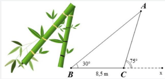 Đ&aacute;p &aacute;n cần chọn l&agrave;: B (ảnh 2)