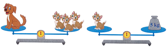 Con chó cân nặng là:    	A. 5 kg	B. 10 kg	C. 15 kg	D. 20 kg (ảnh 1)