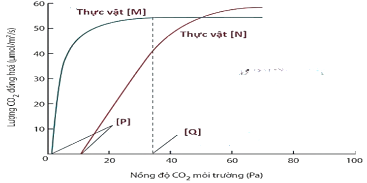 Đồ thị Hình 9 thể hiện ảnh hưởng của nồng độ CO2 đến cường độ quang hợp của hai loài thực vật M, N. Khi nói về đồ thị này, những phát biểu nào sau đây đúng? (ảnh 1)