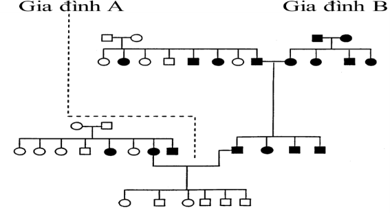 Theo dõi sự biểu hiện bệnh câm điếc ở hai gia đình người Ireland, người ta lập được phả hệ như hình dưới đây. Nghiên cứu di truyền của bệnh này đã cho thấy bệnh do đột biến allele lặn gây nên.  (ảnh 1)