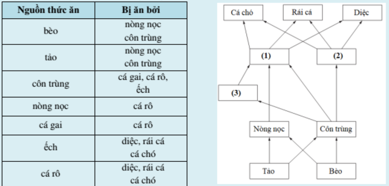 Cục tài nguyên thiên nhiên Wales chịu trách nhiệm quản lý và giám sát chất lượng nguồn nước. Số lượng sinh vật có trong nước là một chỉ số đánh giá về mức độ ô nhiễm. (ảnh 1)