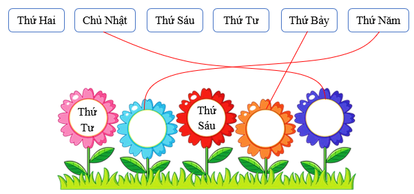 Nối các thứ sau (ảnh 2)