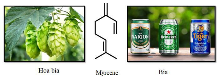 Myrcene là một hydrocarbon có trong hoa bia, nó làm cho bia có hương vị và mùi thơm đặc trưng. Công thức của myrcene được cho dưới đây:

Một học sinh khi nghiên cứu về myrcene đã thu được các (ảnh 1)