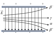 Trong thí nghiệm sau đây, một mẫu phóng xạ M được đặt trong chân không, phát ra ba loại tia phóng xạ (ảnh 1)