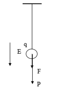 Khảo sát dao động điều hòa của một con lắc đơn, vật dao động nặng 200g, (ảnh 1)