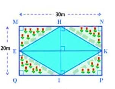 1) Vẽ tam giác đều MNP có cạnh MN = 4 cm.  2) Mảnh vườn nhà ông Ba có dạng hình chữ nhật MNPQ (xem hình vẽ). Biết chiều dài 30 mét, chiều rộng 20 mét. (ảnh 1)