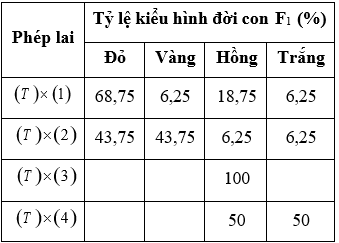 Khi nghi&ecirc;n cứu t&iacute;nh trạng m&agrave;u hoa của một lo&agrave;i thực vật, c&aacute;c nh&agrave; nghi&ecirc;n cứu đ&atilde; t&igrave;m được ra
được quy luật di truyền t&iacute;nh trạng n&agrave;y theo tương t&aacute;c bổ sung, được quy ước về kiểu gene như sau:
A  (ảnh 1)