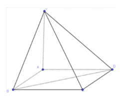 Cho hình chóp S.ABCD trong đó ABCD là hình chữ nhật,SA vuông góc (ABCD) . (ảnh 1)