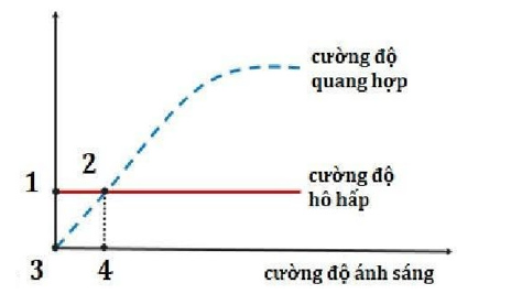Đồ thị ở hình bên mô tả ảnh hưởng của cường độ ánh sáng đến cường độ hô hấp và cường độ quang hợp của một loài thực vật. Điểm nào trên đồ thị biểu thị điểm bù ánh sáng của loài này: (ảnh 1)