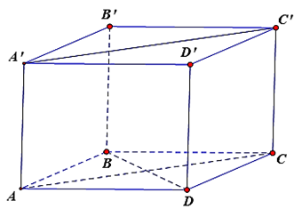 Cho hình lập phương ABCD.A'B'C'D'. Tính cos(BD, A'C') (ảnh 1)