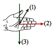 Để xác định chiều của lực từ tác dụng lên một đoạn dây dẫn thẳng mang dòng điện người ta sử dụng quy tắc bàn tay trái. Chiều (1), (2), (3) trên hình vẽ lần lượt là chiều của (ảnh 1)