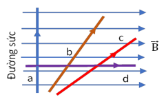Bốn đoạn dây dẫn a, b,c, d có cùng chiều dài (ảnh 1)