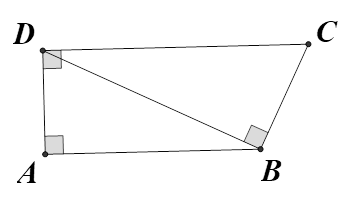 Cho hình thang vuông ABCD (AB //CD) có đường chéo BD vuông góc với cạnh BC tại B. Chọn câu trả lời đúng. (ảnh 1)