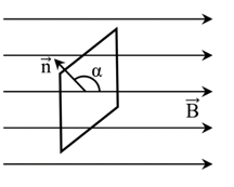 Một khung dây dẫn phẳng, kín C có diện tích giới hạn S , (ảnh 1)