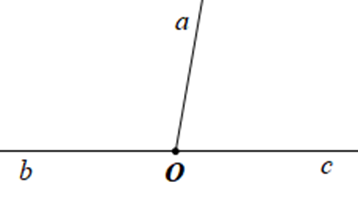 Vẽ ba tia chung gốc phân biệt Oa,Ob,Oc, trong đó có hai tia Ob,Oc đối nhau. Số góc trong hình đã vẽ là (ảnh 1)