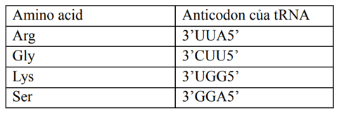 Một đoạn polypeptide ở sinh vật nhân sơ có trình tự các amino acid như sau: (ảnh 1)