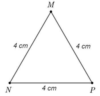 1) Vẽ tam giác đều MNP có cạnh MN = 4 cm.  2) Mảnh vườn nhà ông Ba có dạng hình chữ nhật MNPQ (xem hình vẽ). Biết chiều dài 30 mét, chiều rộng 20 mét. (ảnh 2)