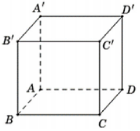 Cho hình hộp chữ nhật ABCD.A'B'C'D'  Khẳng định nào đúng? (ảnh 1)