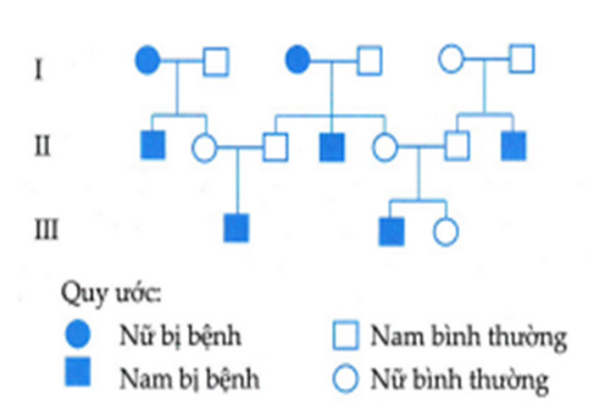Một bệnh di truyền do một gene quy định xuất hiện trong phả hệ dưới đây:     Phát biểu nào sau đây là đúng? (ảnh 1)