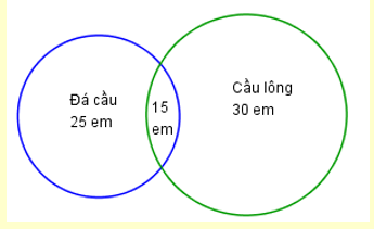 Mỗi học sinh của lớp 10A1 đều biết chơi đá cầu hoặc cầu lông (ảnh 1)