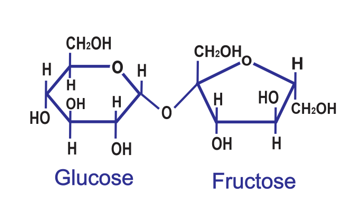 Phân tử hữu cơ tồn tại trong cơ thể sinh vật sau đây là chất hữu cơ nào? (ảnh 1)