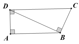 Cho hình thang vuông ABCD (ảnh 1)