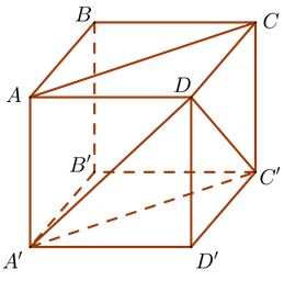 Cho hình lập phương ABCD.A'B'C'D' (tham khảo hình vẽ). Góc giữa hai đường thẳng AC và A'D là (ảnh 2)
