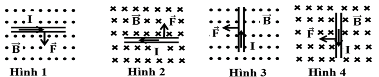 Hình vẽ nào sau đây mô tả đúng về phương, chiều lực từ F tác dụng lên một đoạn dây dẫn thẳng mang dòng (ảnh 1)