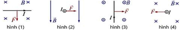 Hình vẽ nào sau đây mô tả đúng về lực từ F tác dụng lên một đoạn dây dẫn thẳng mang dòng điện cường độ I đặt trong một từ trường đều B ? (ảnh 1)