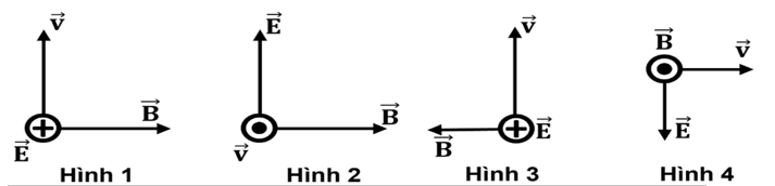 Trong các hình sau, hình nào diễn tả đúng phương và chiều của vectơ cường độ điện trường (ảnh 1)