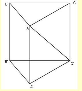 Cho hình lăng trụ ABC.A'B'C' có đáy ABC (ảnh 1)